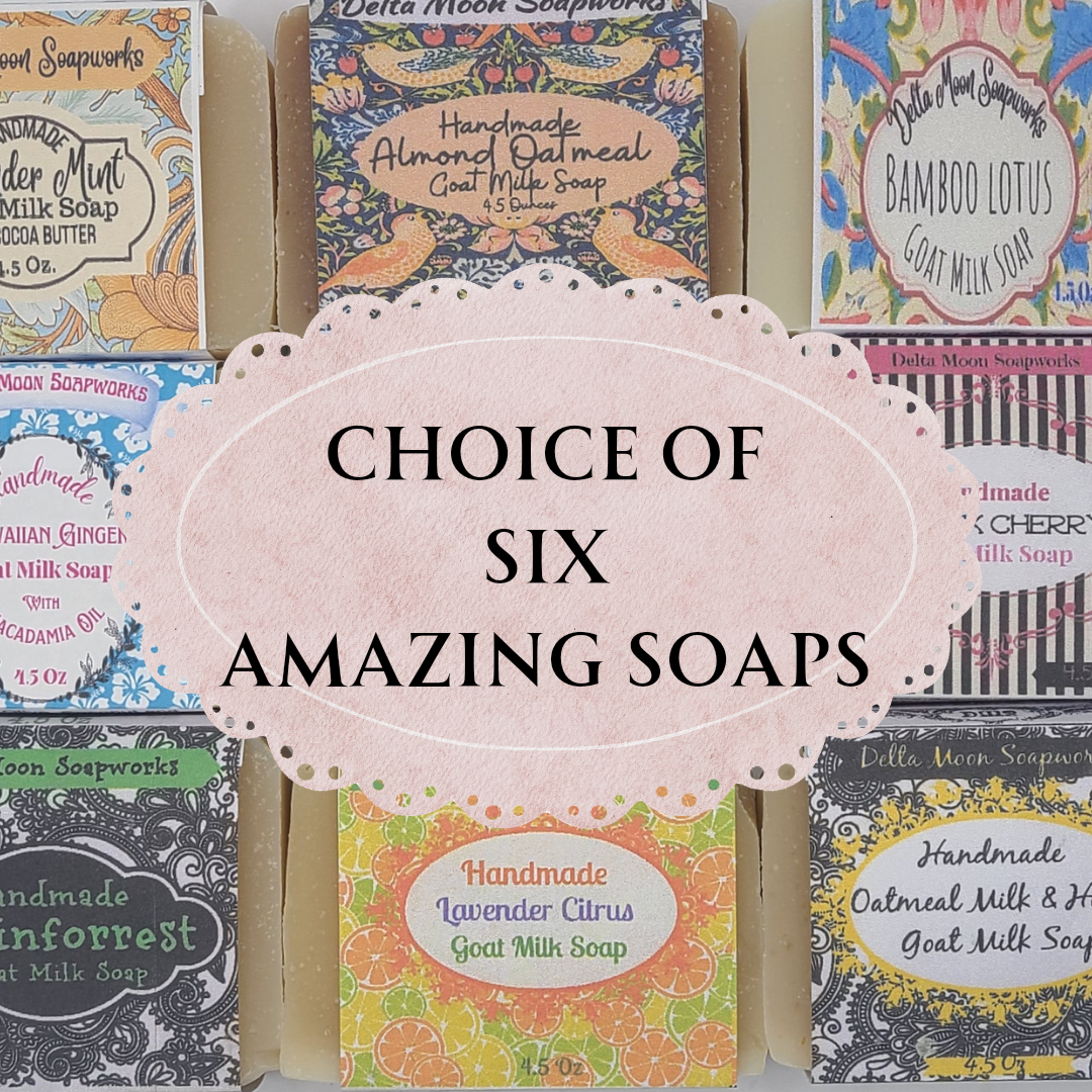 Choice of 6 Goat Milk Soaps, ready to ship