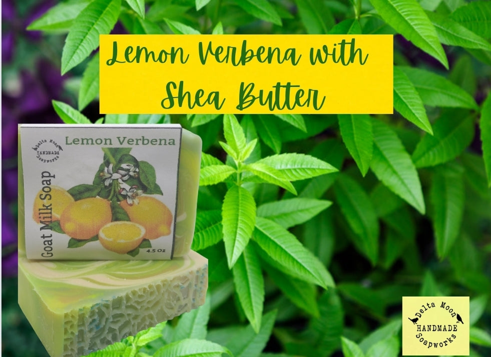 Lemon Verbena Goat Milk Soap, Ready to ship