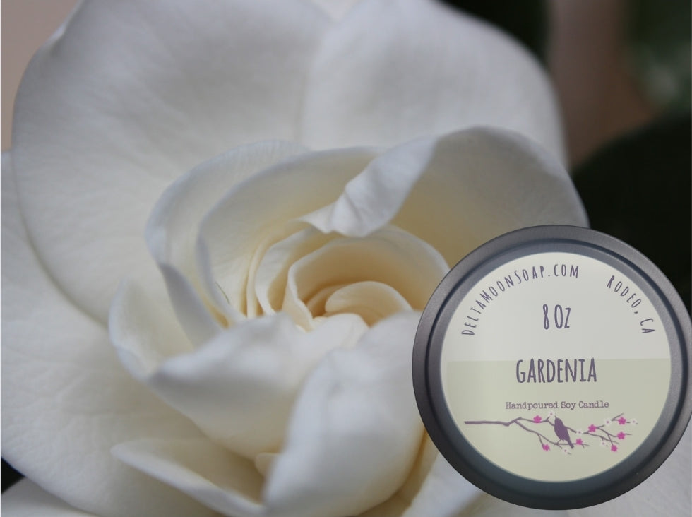 Gardenia 8 Ounce Soy Candle, Ready to ship
