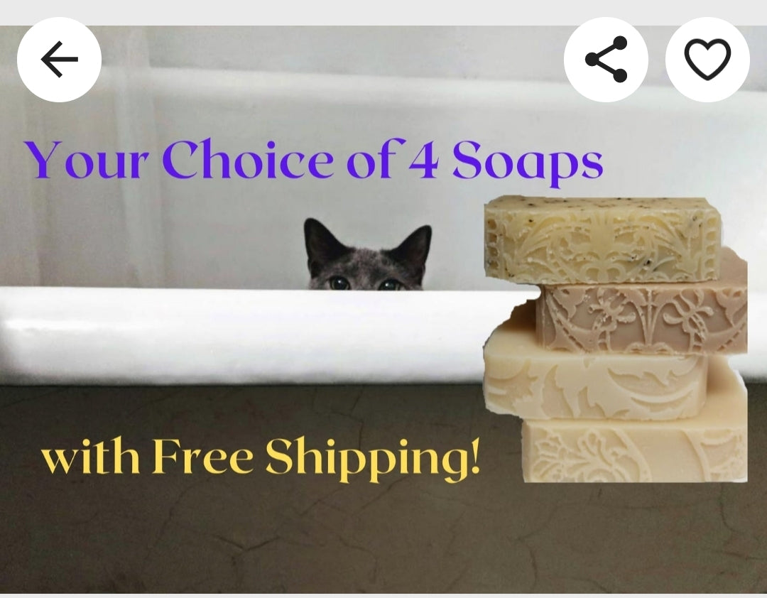 Choice of 4 Goat Milk Soaps, Ready to ship