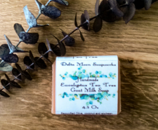 Eucalyptus Tea Tree Goat Milk Soap, Ready to ship